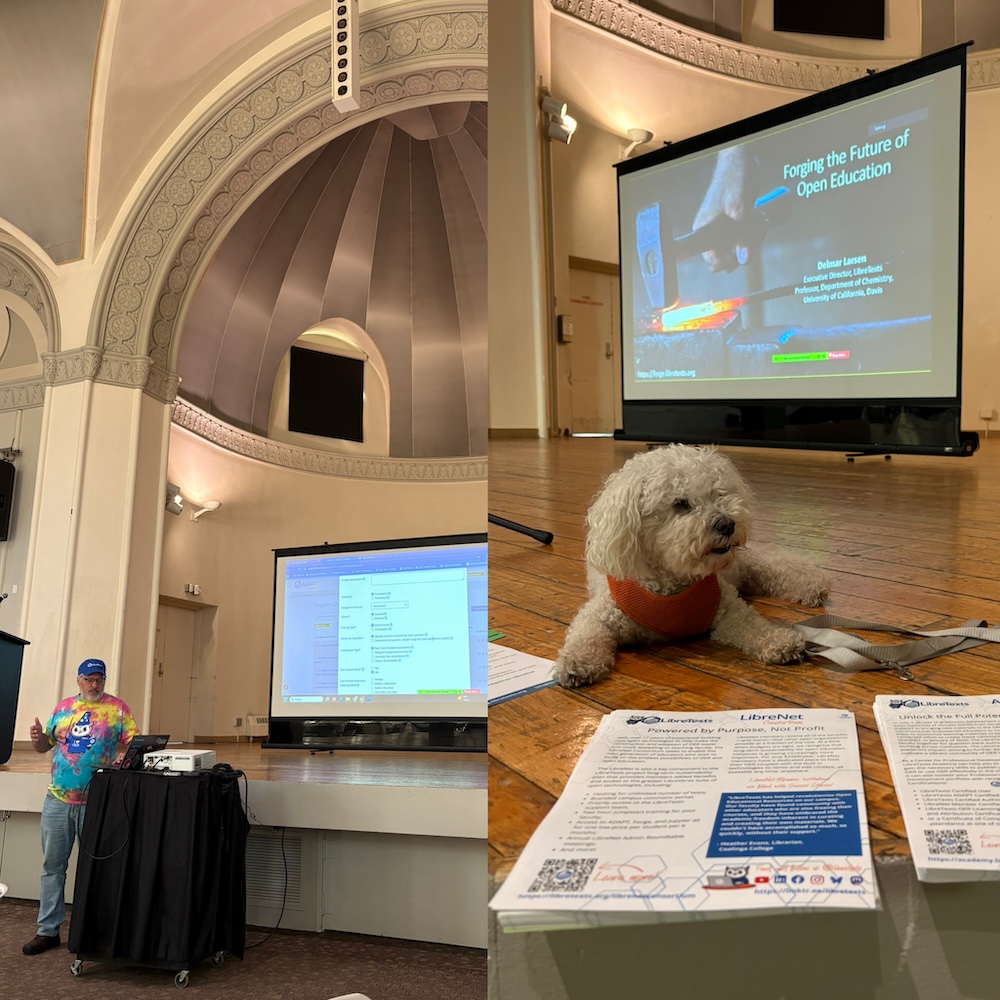 Split screen of Delmar Larsen giving a presentation at LibreTexts OctoberFest workshop at MSU Denver on Oct 27, 2025, and Niels the dog relaxing on stage during a break during OctoberFest 
